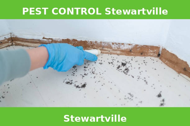 PEST CONTROL Stewartville